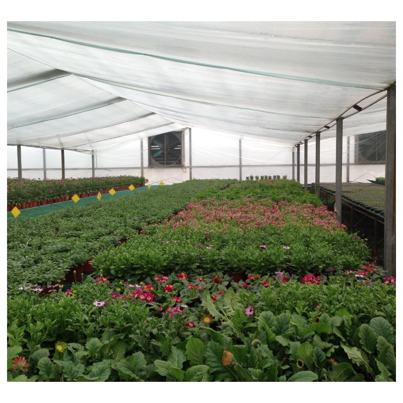 High Strength Commercial Agricultural Poly Tunnel Single-span Green House Plastic Film Greenhouse For Sale