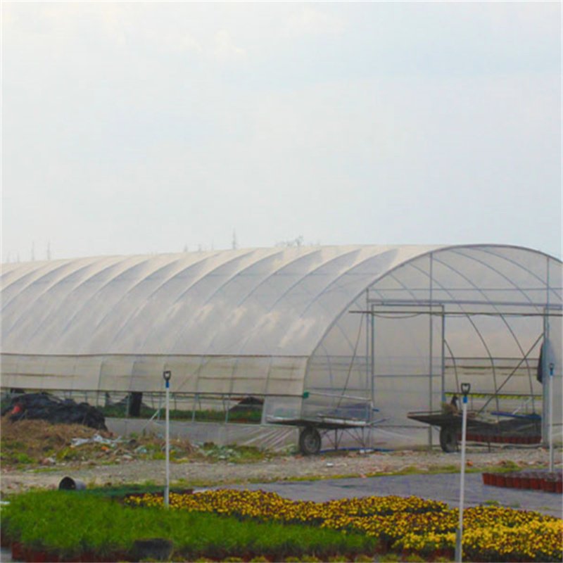 Baolida plastic film agriculture backyard growing tent 10 x 20 greenhouse 10 x 12 green house hoops for vegetables