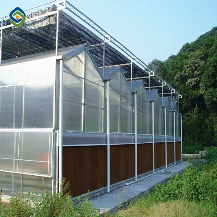 Sainpoly ventil vegetable green house strong steel pipes structure small polycarbonate greenhouse agriculture projects