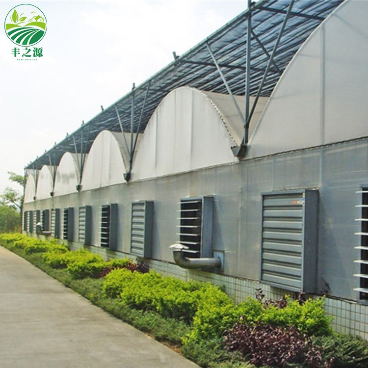 Cheap Industrial Multi Span greenhouse Plastic Film Green House greenhouse