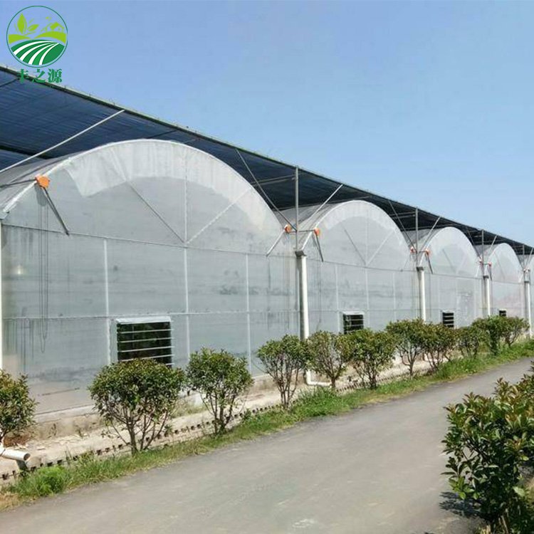 Cheap Industrial Multi Span greenhouse Plastic Film Green House greenhouse