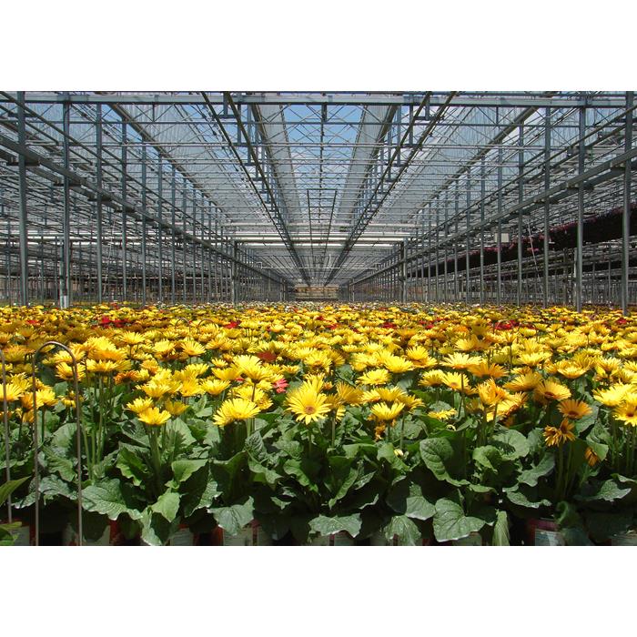 Agricultural Greenhouse Movable Sprinkler Mist Irrigation Greenhouse Product for Efficient Crop Watering