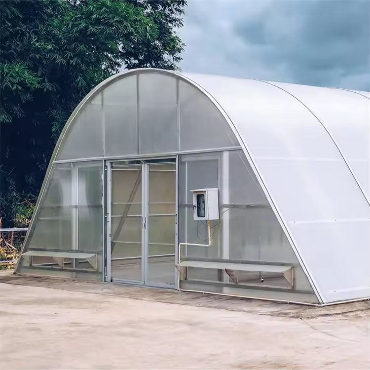 Solar poly agriculture farming single tunnel dome greenhouse dryer for drying Chilli pepper