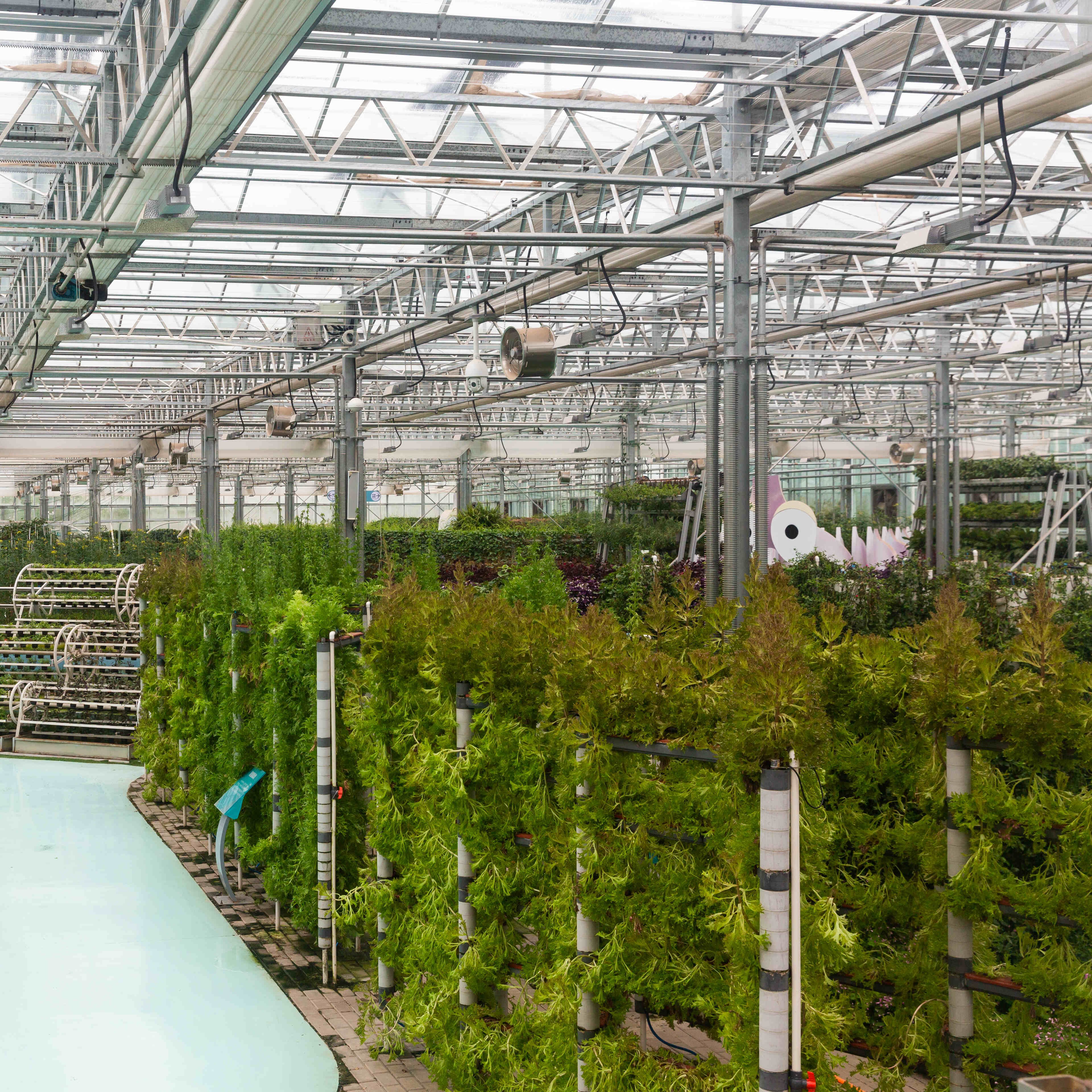 Agricultural Polycarbonate greenhouse PC serre agricole for sale