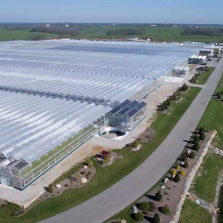 Agricultural Polycarbonate greenhouse PC serre agricole for sale