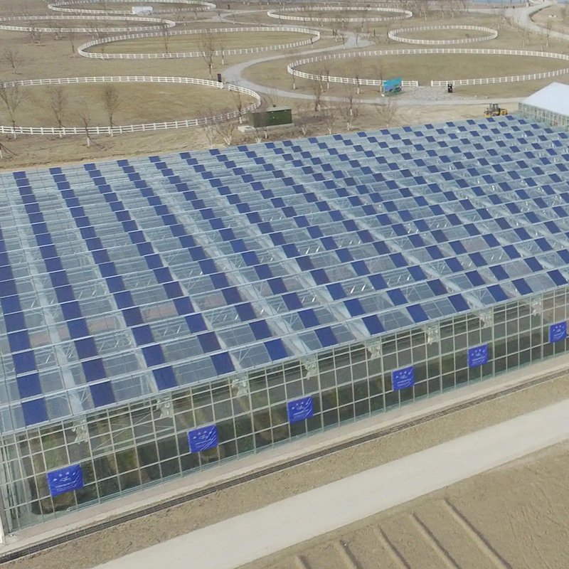 Agricultural Polycarbonate greenhouse PC serre agricole for sale