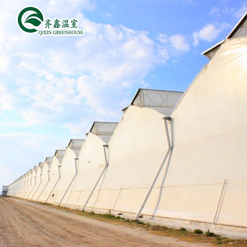 Commerical single Span Polycarbonate Greenhouses/Green House for Agricultureagricultural single tunnel greenhouse