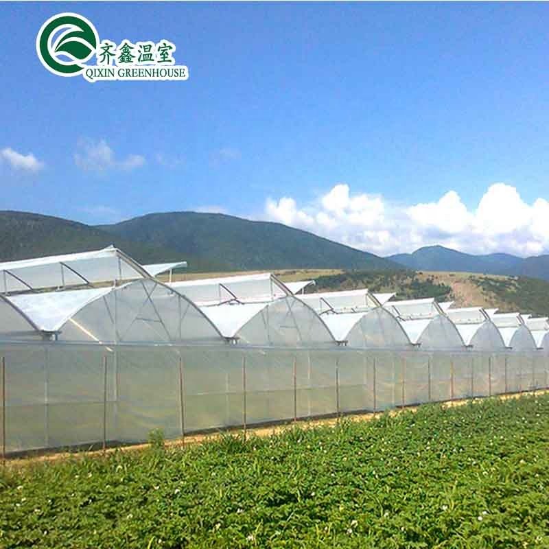 Commerical single Span Polycarbonate Greenhouses/Green House for Agricultureagricultural single tunnel greenhouse