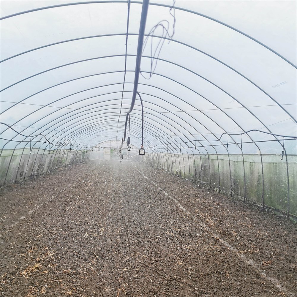 Economical hydroponics galvanized pipe greenhouse high tunnels plastic film agricultural greenhouse for vegetables planting