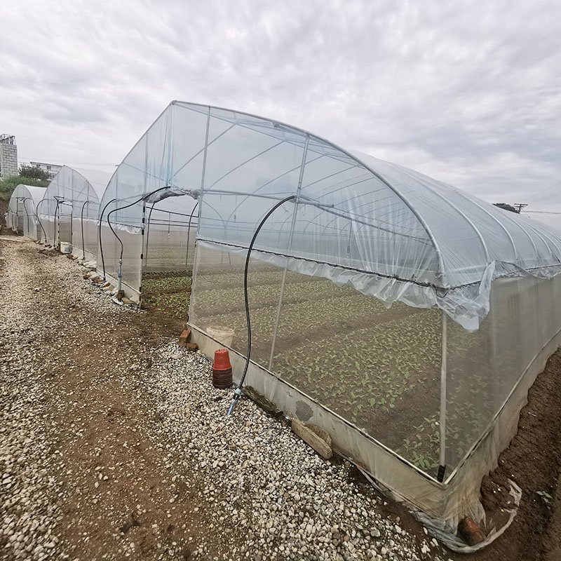 Economical hydroponics galvanized pipe greenhouse high tunnels plastic film agricultural greenhouse for vegetables planting