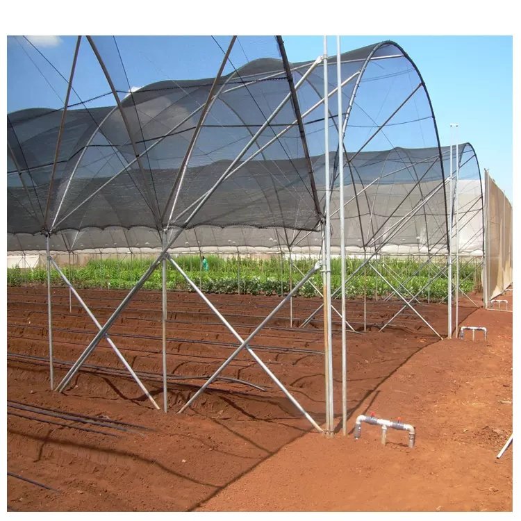 The cheapest agricultural greenhouse macro tunnel