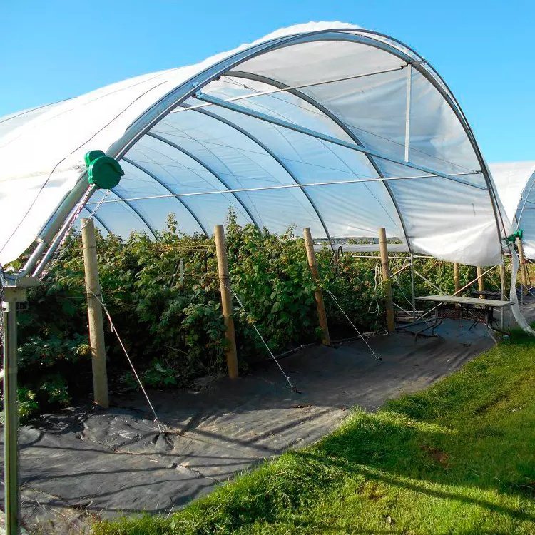 The cheapest agricultural greenhouse macro tunnel