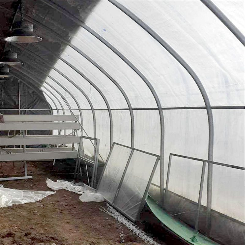 Passive Solar Greenhouse Tunnel Greenhouses Double Span Agricultural Greenhouses With Quilt For Cold Area