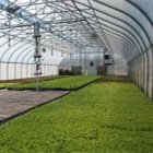 Large Commercial Green Houses Agriculture Greenhouse polycarbonate greenhouse