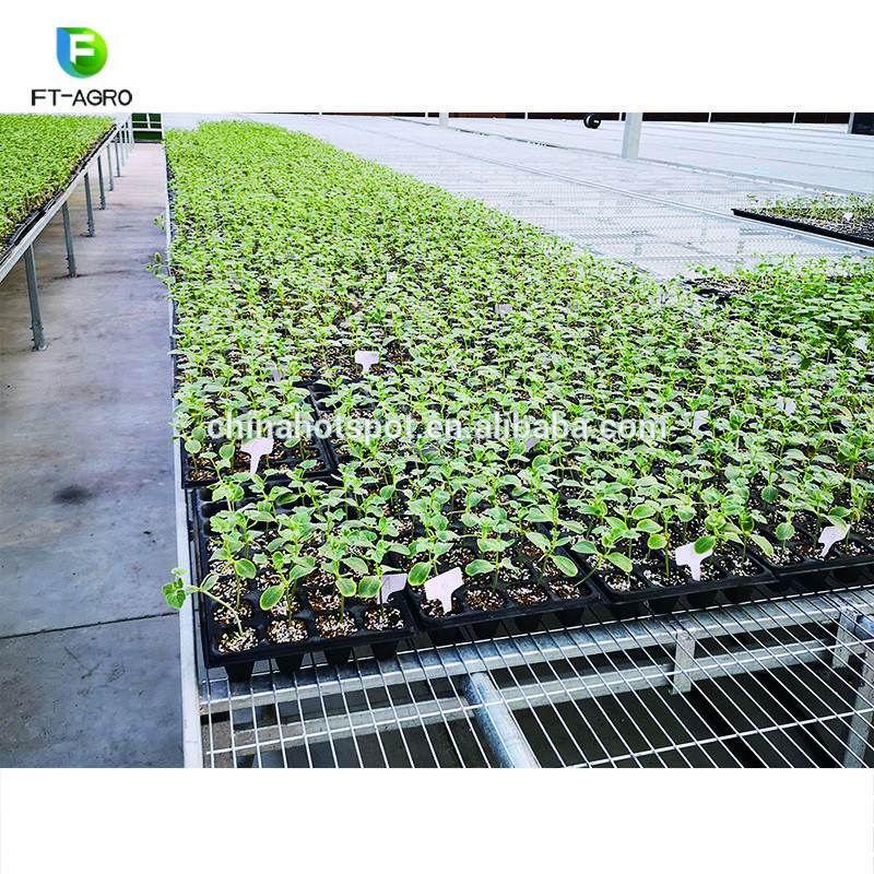 Plant nursery equipment seeding tray agriculture greenhouse