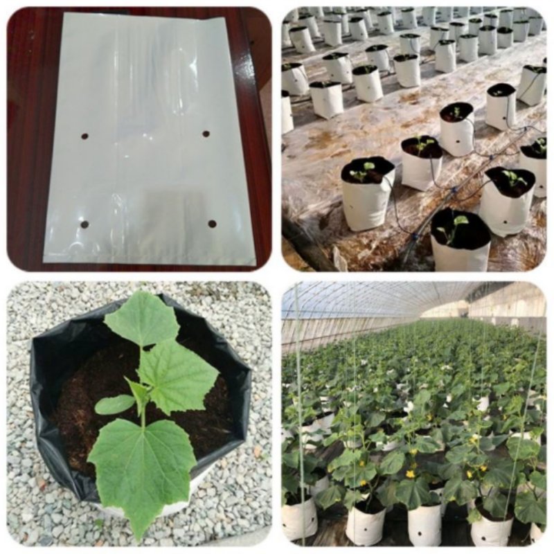 5 Gallon Anti-UV plastic nursery bag black open top poly grow bag for greenhouse planting