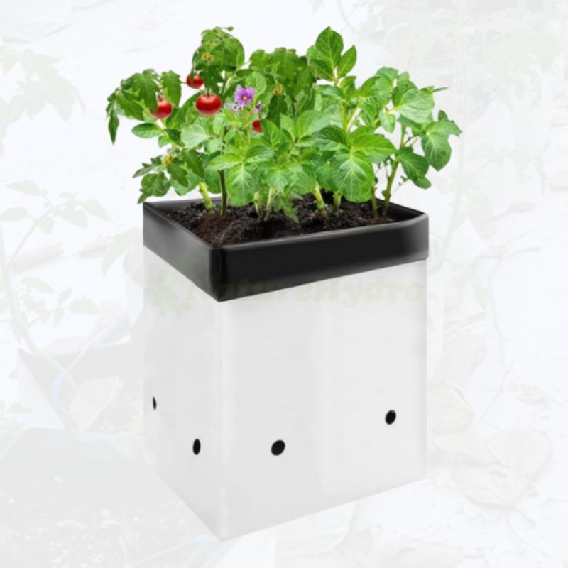 5 Gallon Anti-UV plastic nursery bag black open top poly grow bag for greenhouse planting