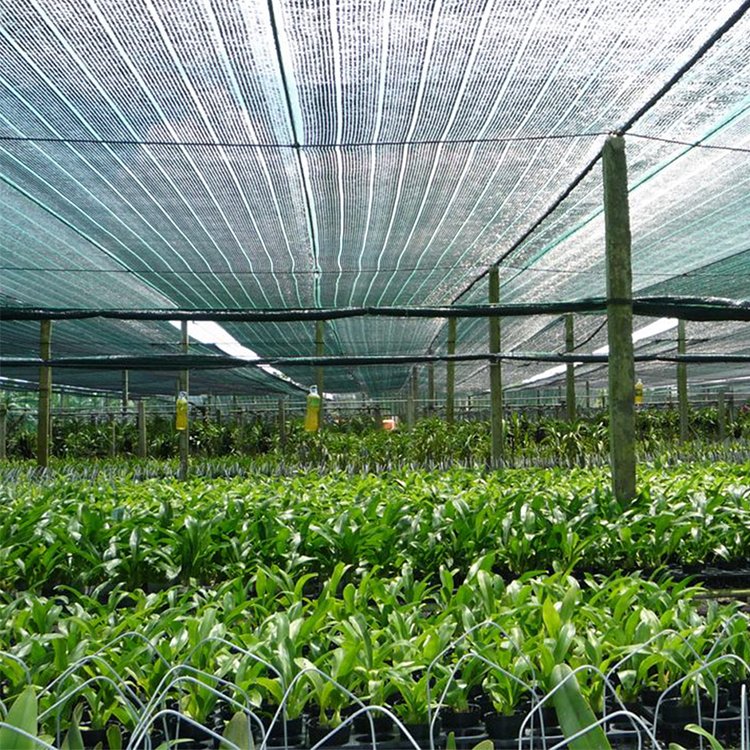 raschel mesh popular 100%hdpe 90% sun shade net sail agro greenhouse sunshade
