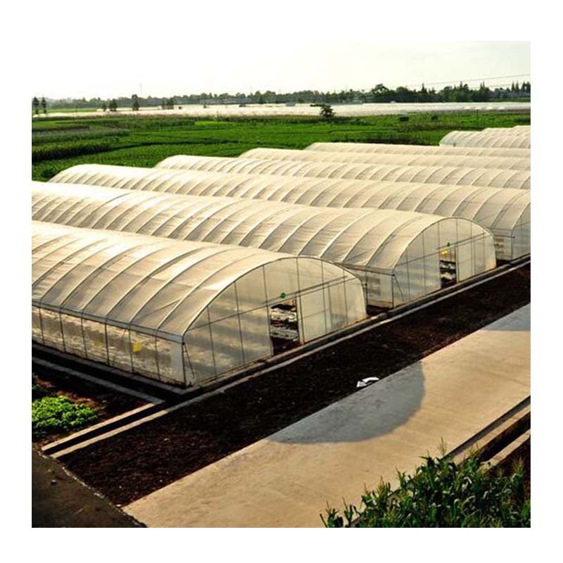 UV Protected Polyethylene Plastic Green houses for Agriculture