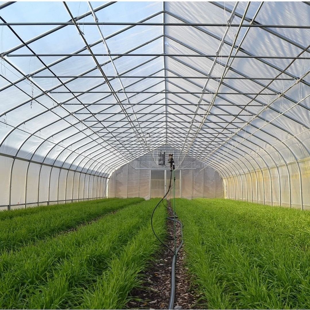 Green vegetable or flowers planting multi-span modern agricultural greenhouse