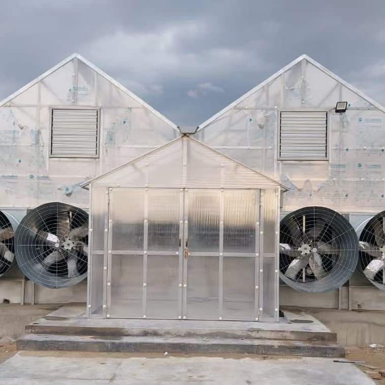 Multilayer Impact Resistant Polycarbonate Hollow Sheet With Ultraviolet Proof Greenhouse Roof Panel