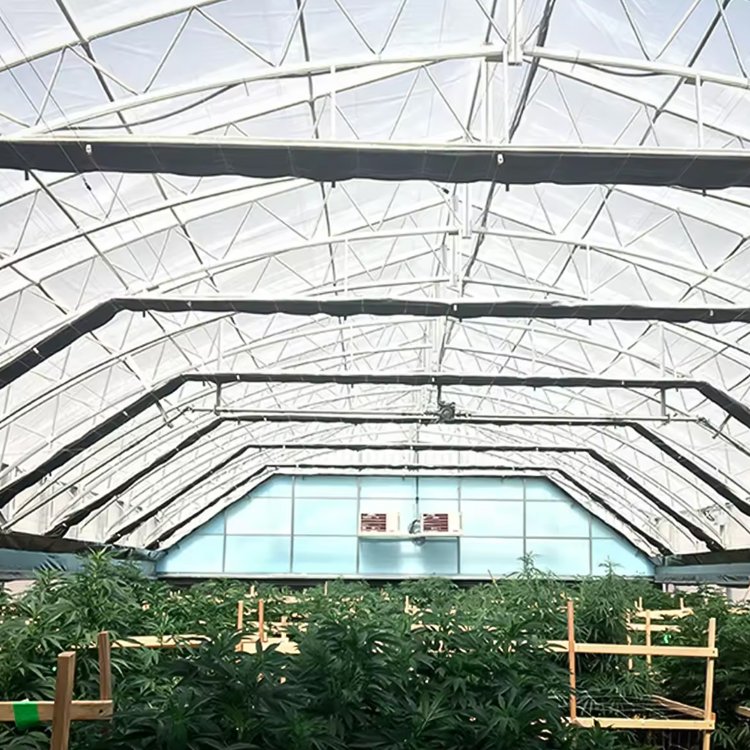 Low cost tomato span tunnel movable agricultural Plastic Film Cover Mushroom Greenhouse serre agricole solar greenhouse