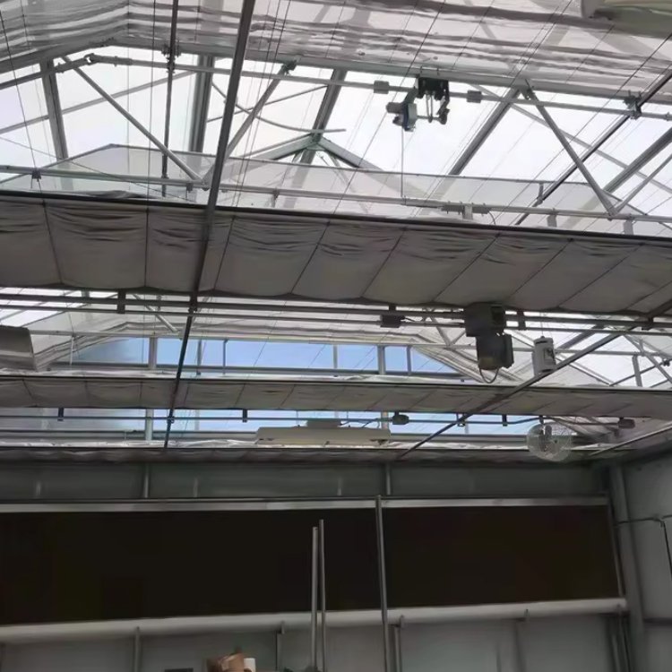 Low cost tomato span tunnel movable agricultural Plastic Film Cover Mushroom Greenhouse serre agricole solar greenhouse