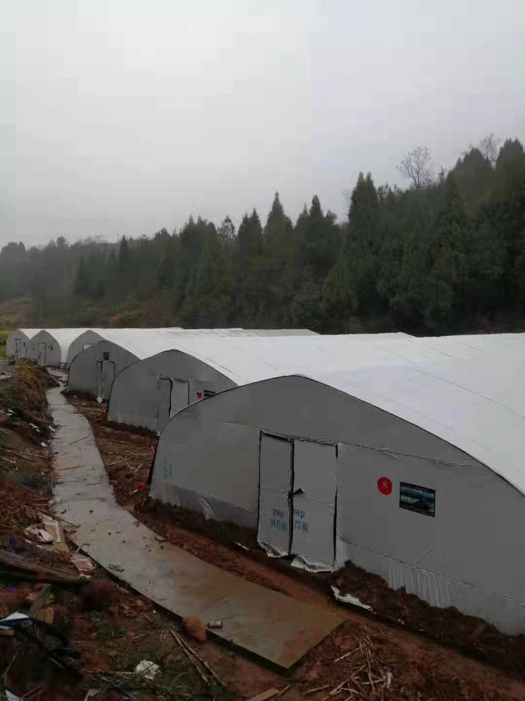 Factory direct black and white PE mushroom farm greenhouse agricultural greenhouse for sale single awning
