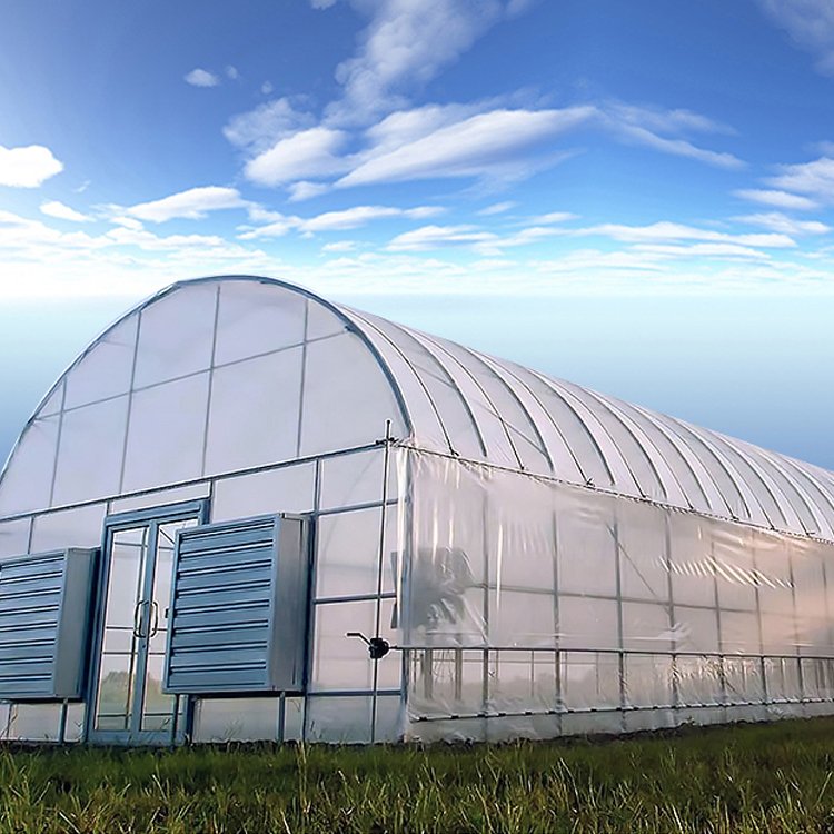 stainless steel melon snail pine polyethylene polyethylene melon roof ventilation cold frame clear greenhouses wholesale
