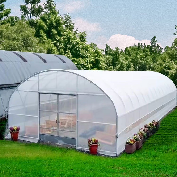 stainless steel melon snail pine polyethylene polyethylene melon roof ventilation cold frame clear greenhouses wholesale