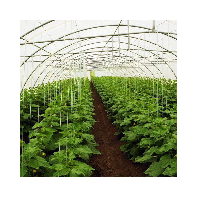Low Cost Green House Commercial Indoor Farming System Tunnel Agricultural Greenhouse