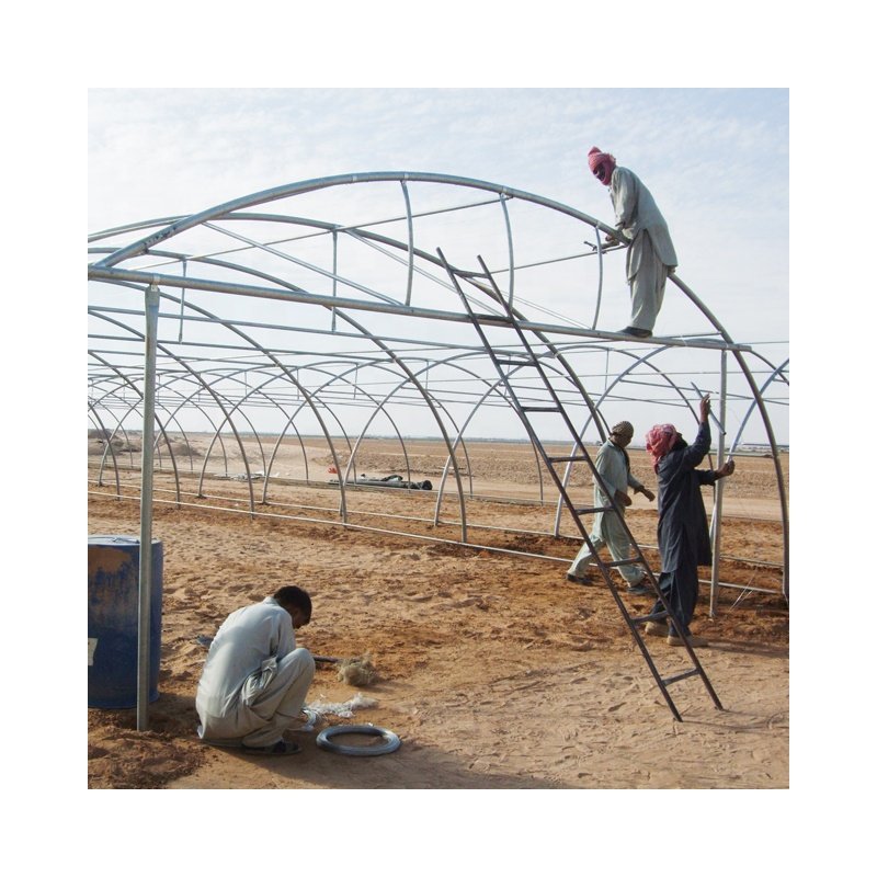 Low Cost Green House Commercial Indoor Farming System Tunnel Agricultural Greenhouse