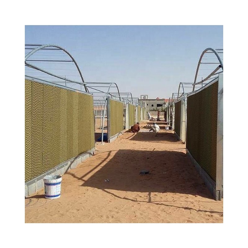 Low Cost Green House Commercial Indoor Farming System Tunnel Agricultural Greenhouse