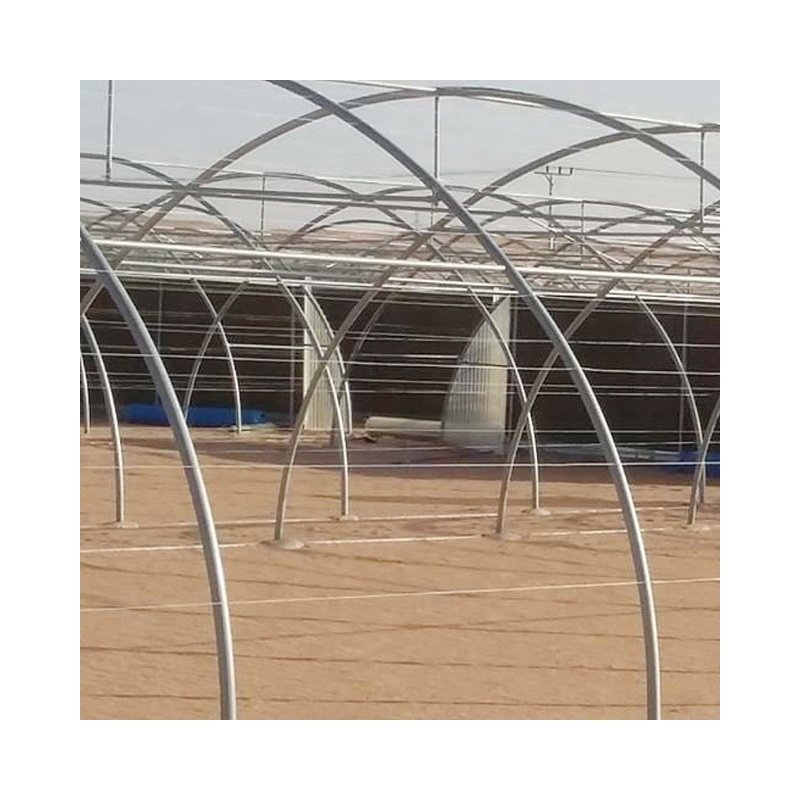 Low Cost Green House Commercial Indoor Farming System Tunnel Agricultural Greenhouse