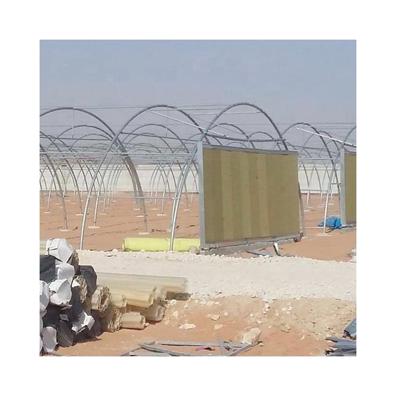 Low Cost Green House Commercial Indoor Farming System Tunnel Agricultural Greenhouse