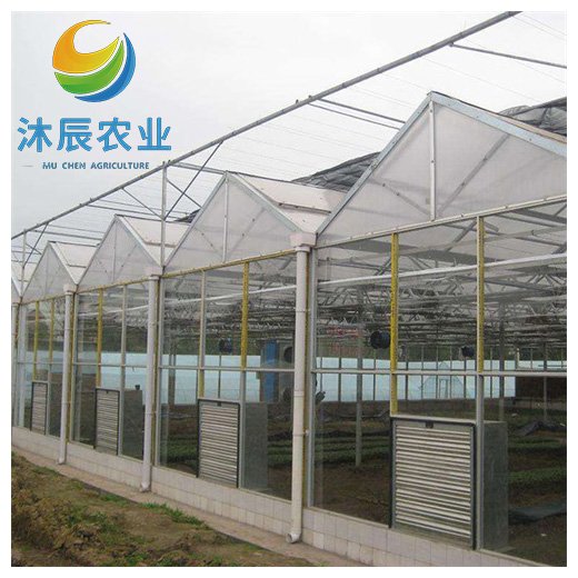 Agricultural Greenhouses Multi-span Polycarbonate Green House With Nft Hydroponic Growing System For Lettuce/herbs/microgreens