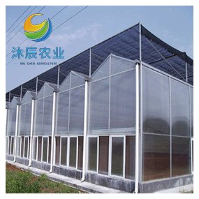 Agricultural Greenhouses Multi-span Polycarbonate Green House With Nft Hydroponic Growing System For Lettuce/herbs/microgreens