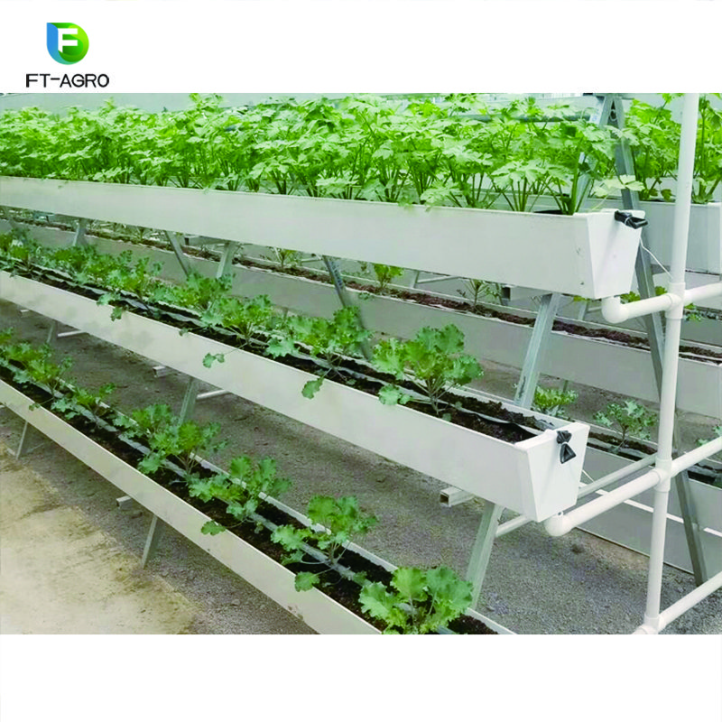 Aquaponics Growing Hydroponics for vegetable planting
