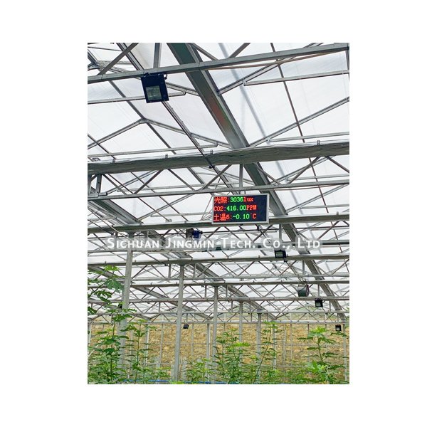 Greenhouse Vertical Cultivation Turnkey Solutions Provides Lighting Irrigation Ventilation Versatile Full Equipment Green house