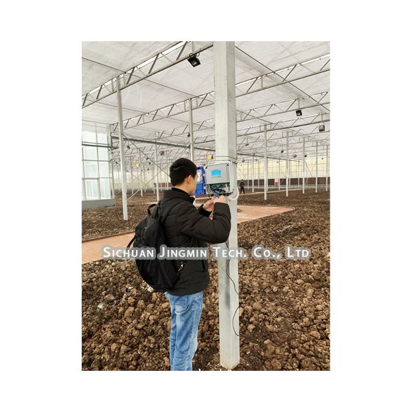 Greenhouse Vertical Cultivation Turnkey Solutions Provides Lighting Irrigation Ventilation Versatile Full Equipment Green house