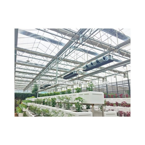 Greenhouse Vertical Cultivation Turnkey Solutions Provides Lighting Irrigation Ventilation Versatile Full Equipment Green house
