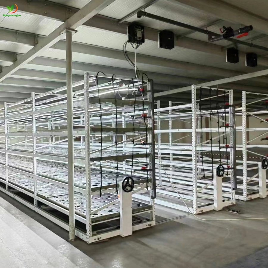 4x8 5x10 Flood Rolling bench grow table and flow table tray greenhouse for sale ,plant growing with hydroponic system