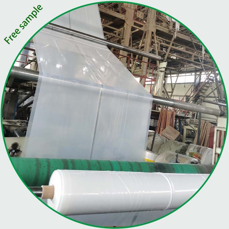 Agriculture Greenhouse Film Clear Plastic Sheeting UV Resistant Poly Film Garden for Plants Greenhouse Grow Tunnel