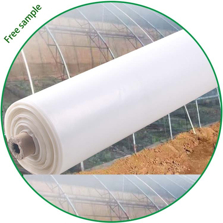 Agriculture Greenhouse Film Clear Plastic Sheeting UV Resistant Poly Film Garden for Plants Greenhouse Grow Tunnel