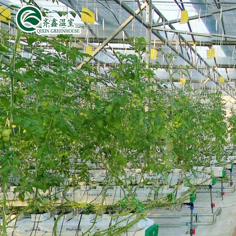 indoor hydroponic growing systems for greenhouse