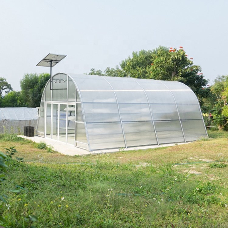 Greenhouse dryer fruits drying solar panels powered tunnel greenhouse dryer