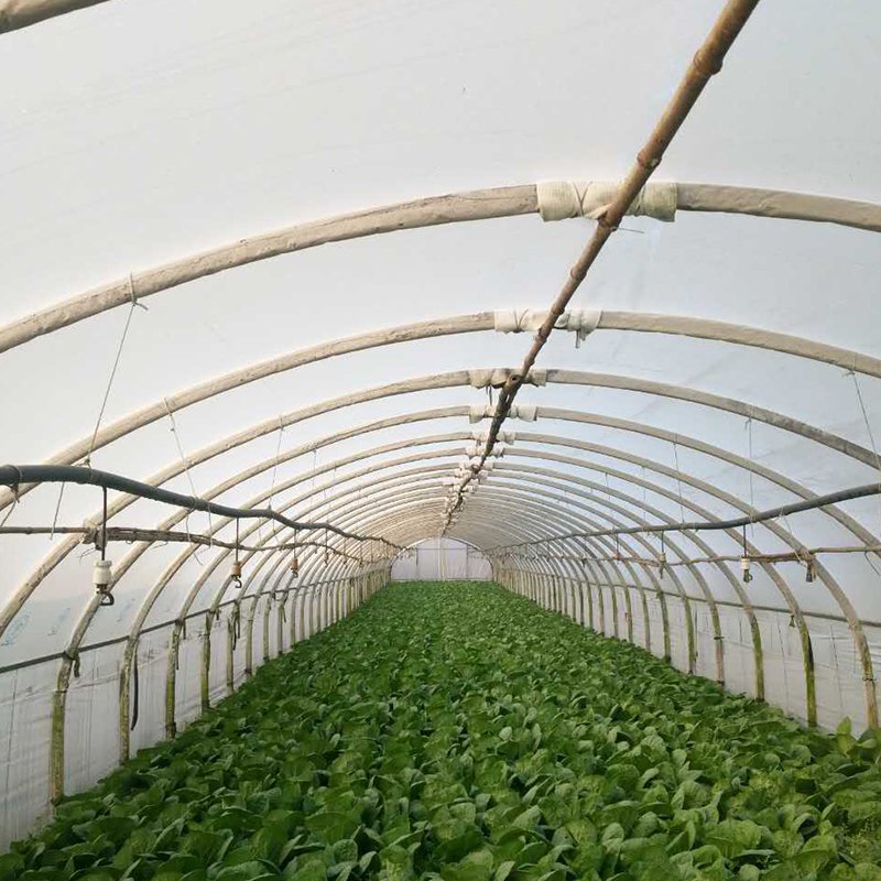 Best and Economical Outdoor Greenhouses Chinese Manufactured Garden Greenhouse Cover for Agriculture