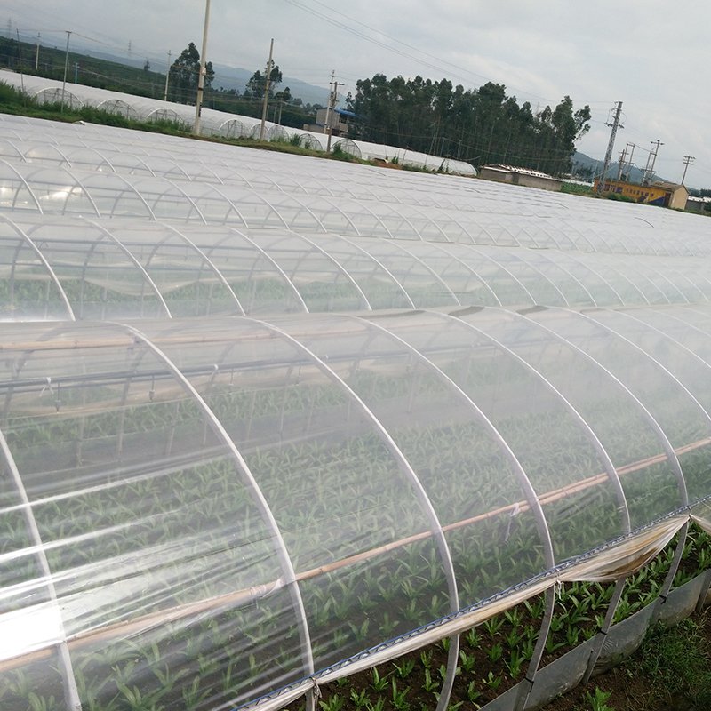 Best and Economical Outdoor Greenhouses Chinese Manufactured Garden Greenhouse Cover for Agriculture