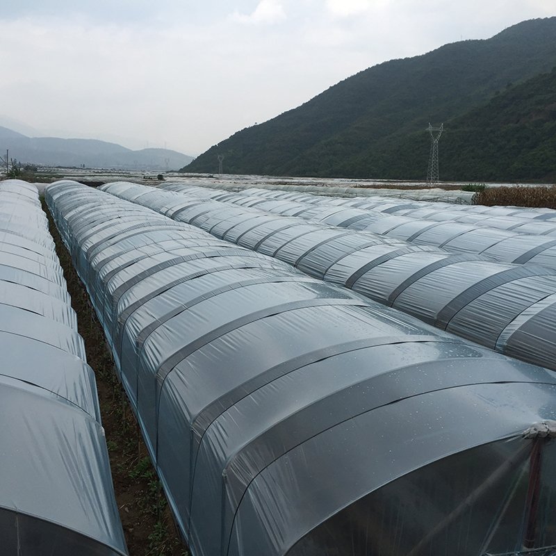 Best and Economical Outdoor Greenhouses Chinese Manufactured Garden Greenhouse Cover for Agriculture