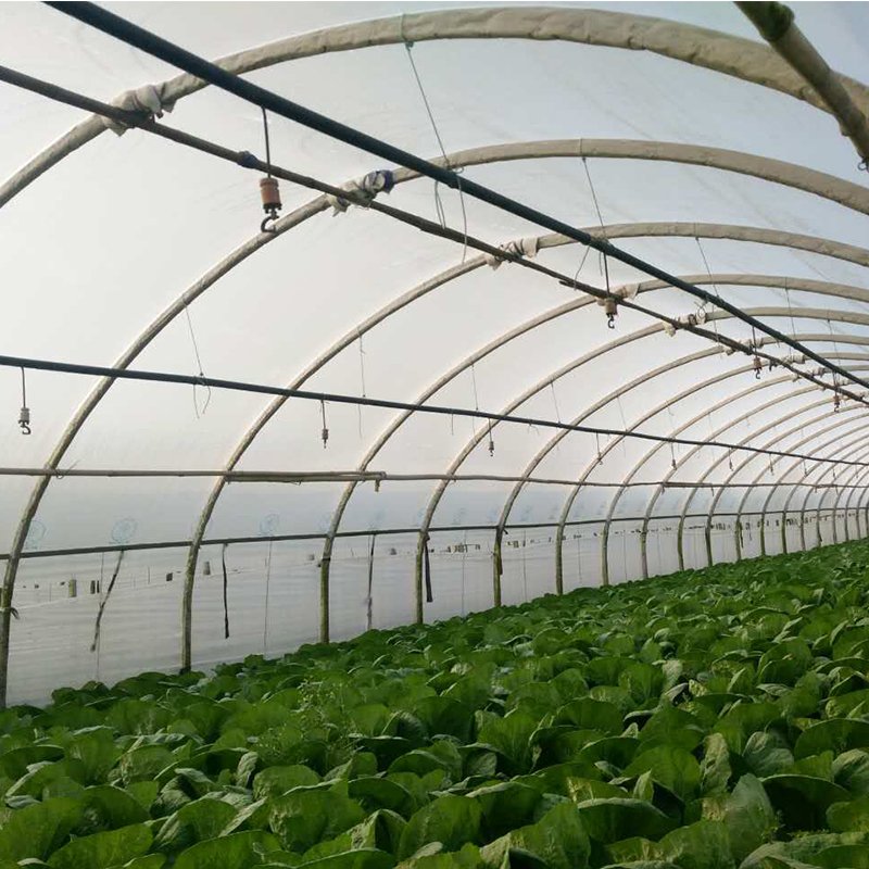 Best and Economical Outdoor Greenhouses Chinese Manufactured Garden Greenhouse Cover for Agriculture